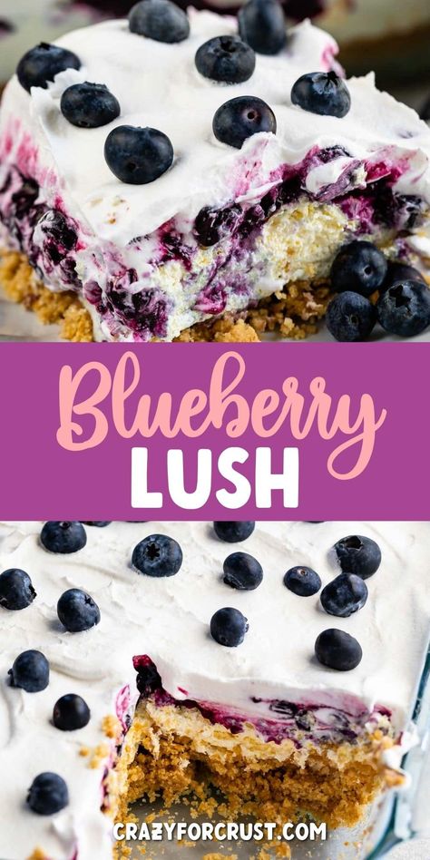 This Blueberry Delight recipe is an easy no bake blueberry dessert with a graham cracker crust, vanilla pudding filling, and whipped topping. It’s a great summer dessert! Blueberry Lush, Vanilla Pudding Desserts, Graham Dessert, Graham Cracker Dessert, Blueberry Pudding, Vanilla Pudding Recipes, Lush Dessert, Cracker Dessert, Homemade Blueberry Pie