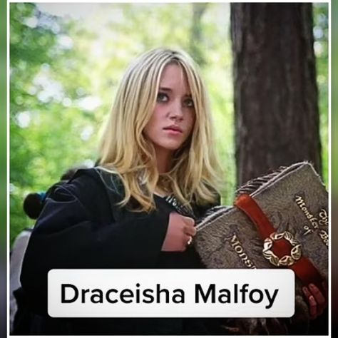 Draco Malfoy Sister, Fem Draco Malfoy, Slytherin Princess, Fem Harry Potter, Fem Harry, Drako Malfoy, House Maid, Harry Potter Hogwarts Houses, Journal Diy