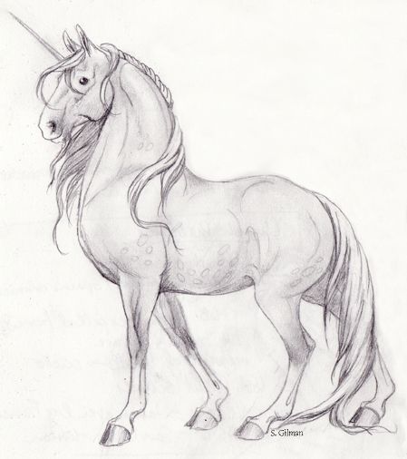 Unicorn Sketch by https://www.deviantart.com/lunatteo on @DeviantArt Unicorn Drawing Sketches, Sketch Unicorn, Unicorn Art Drawing, Unicorn Drawings, Unicorn Sketch, Horse Art Drawing, Unicorn Drawing, Horse Sketch, Unicorn Pictures