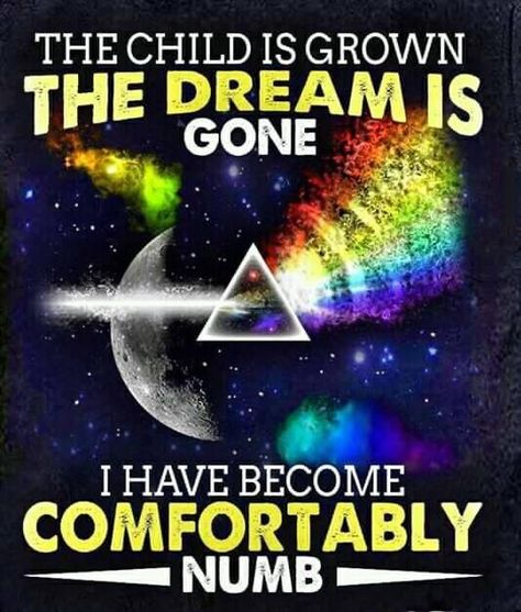 Pink Floyd Comfortably Numb, Comfortably Numb, Best Guitarist, David Gilmour, Pink Floyd, Dark Side, Pink