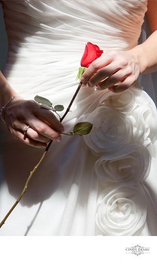 Love the idea of a single long stem rose like Belle.. would want more leaves left on and a long stem Holly Hedge, Wedding Dress Red, Rose Bride, Long Stem Rose, Single Red Rose, Red Rose Wedding, Beautiful Portraits, Bucks County, Gorgeous Wedding Dress