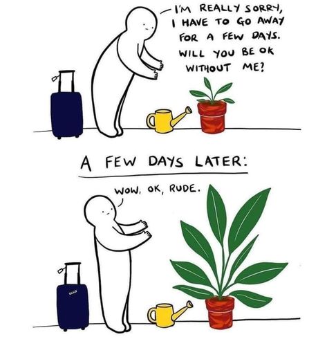 Plant Jokes, How To Save Water, Zone 9b, Plants Are Friends, House Plants Decor, Plant Mom, Without Me, Plant Lady, Cute Comics