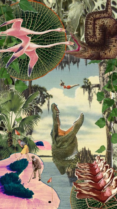 an ode to an old home 🍊🐊 #florida #vintage #beach #collageart #home Vintage Florida Art, Vintage Florida Aesthetic, Unknown Creatures, Florida Aesthetic, Florida Garden, Florida Vintage, Palm Beach Regency, Mind Palace, Everglades Florida