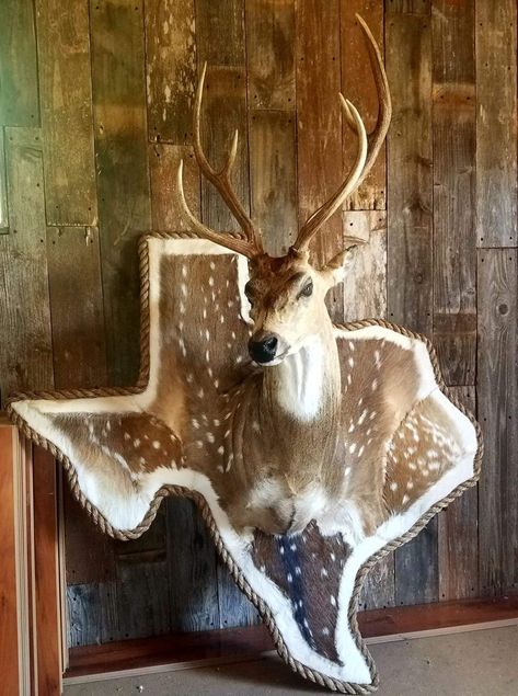 Only for my Ronnie, in his “game room”. Deer Mount Decor, Draw Wolf, Deer Mount Ideas, Deer Hunting Decor, Deer Skull Mount, Deer Head Decor, Antler Ideas, Taxidermy Decor, Ideas For House