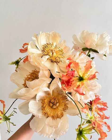 Coral sunset peonies the day before the petals all fall off in one dramatic diva swoop Coral Sunset, Peony Bouquet, Peonies Bouquet, Coral Dress, Peonies, Bouquets, Diva, The Day, Coral