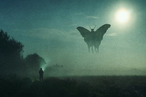 American Cryptids, Mothman Sightings, Monster Silhouette, The Mothman Prophecies, Indrid Cold, Foggy Night, Hairless Dog, Unexplained Phenomena, Point Pleasant