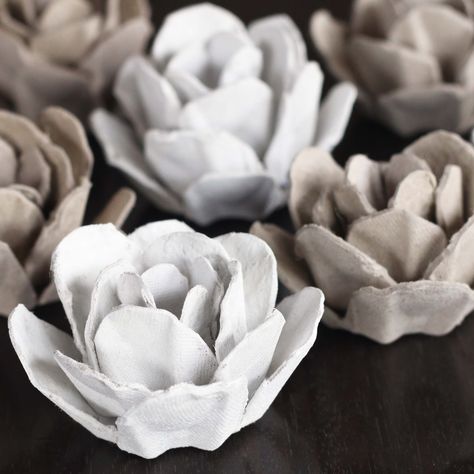 Upcycle // Papier Mache Roses from an Egg Carton Egg Carton Art, Egg Carton Flowers, Escuela Diy, Diy Fleur, Egg Carton Crafts, Egg Cartons, Paper Mache Crafts, Diy School Supplies, Modern Crafts