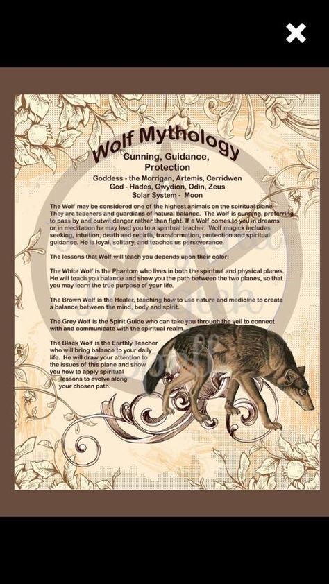 Deer Mythology, Hare Mythology, Wolf Mythology, Animal Mythology, Celtic Owl, Ancient Talisman, Animal Spirit Guides, Animal Guides, Magick Spells