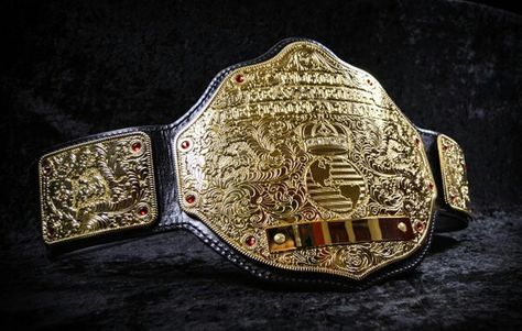 Big Gold Belt, Wrestling Aesthetic, Wrestling Belts, Japan Pro Wrestling, Jon Jon, Stone Cold Steve, Gold Belt, Gold Belts, Stone Cold