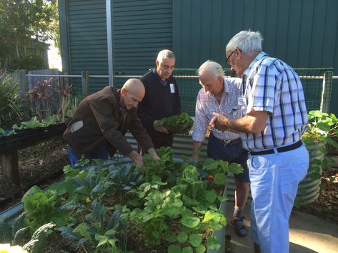 Horticultural Therapy | Soil to Supper Horticultural Therapy, Horticulture, Soil, Couple Photos