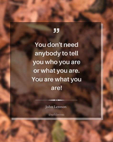 Quote to stop worrying about what others think by John Lennon. You don't need anybody to tell you who you are or what you are. You are what you are! (URBLIS) Dont Worry About What Other People Think, Not Worrying About What Others Think, How To Not Worry About What Others Think, Don’t Worry About What Others Think, Don’t Worry About People Who Don’t Worry About You, Stop Worrying, Believe Quotes, Pinterest Photos, John Lennon