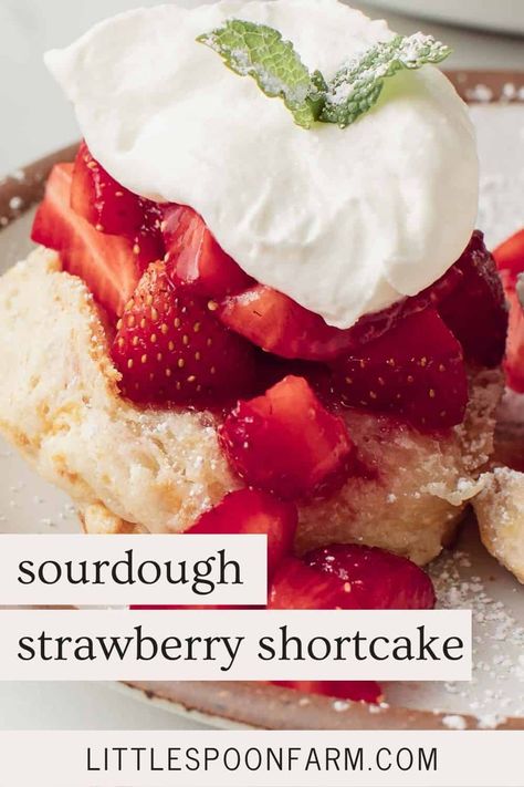 Sourdough strawberry shortcake is both delicious and incredibly simple to make without spending hours in the kitchen! It can be enjoyed on special occasions, holidays, or even as a simple family treat at any time of the year. With just a few key ingredients like fresh strawberries, light and fluffy sourdough biscuits, and a dollop of homemade whipped cream, you can create a mouthwatering dessert that will have your guests begging for more. Sourdough Strawberry, Little Spoon Farm, Best Strawberry Cake Recipe, Sourdough Biscuits, Shortcake Biscuits, Sourdough Starter Discard Recipe, Discard Recipes, Strawberry Shortcake Recipes, Shortcake Recipe