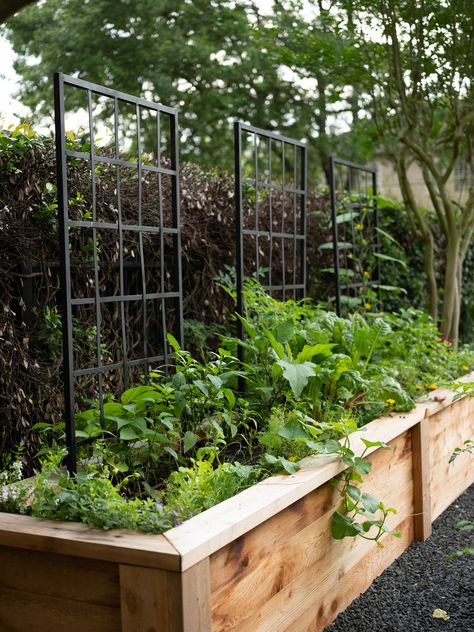 Learn which three mistakes you should avoid when building a raised garden bed in order to find long-term success for your kitchen garden. Veggie Patch Ideas Raised Beds, Tall Garden Beds, Raised Garden Bed Along Fence, Long Planter Boxes, Bulb Garden, Raised Gardens, Long Planter, Dream Backyard Garden, Beds Diy