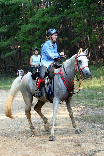 Riding Spooky Horses on the Trail Horse Tricks, Endurance Riding, Horse Trails, Deer Crossing, Horse Lessons, Prey Animals, Riding Tips, Horse Info, Sense Of Sight