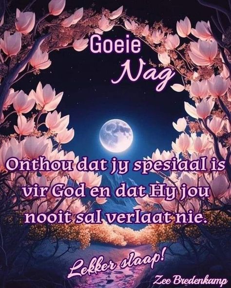 Goeienag Boodskappe, Lekker Slapies, Lekker Slaap, Good Morning Beautiful Gif, Night Blessings, Good Night Flowers, Good Morning Flowers Gif, Good Night Blessings, Night Messages