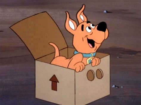 Scrappy Doo Drawing, Cartoon Nostalgia, Scooby Doo Pictures, Scooby Doo Images, Scrappy Doo, Cartoon Dogs, Kids Tv Shows, Cartoon World, Kids Tv