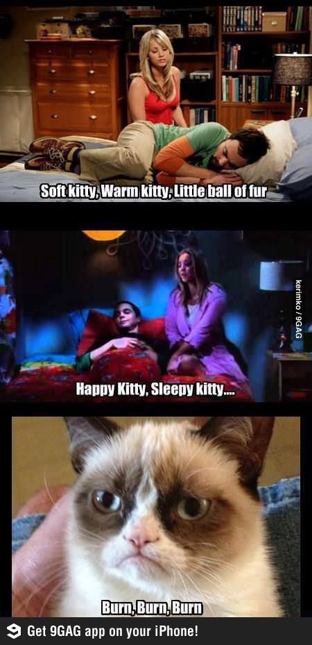 Dear Grumpy Cat,  You really need to get a therapist.  Sign       ~The people of Pinterest Big Bang Theory Memes, Grumpy Cat Meme, Grumpy Cat Quotes, Lol So True, The Bigbang Theory, Soft Kitty Warm Kitty, Cat Humor, Funny Cartoons Jokes, Meme Comics