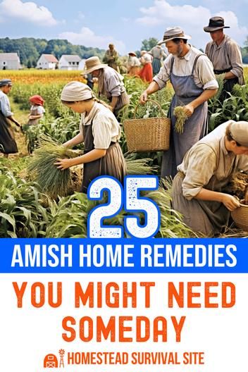 Discover 25 Amish home remedies for various ailments and health issues. Learn about these traditional remedies and how they provide relief. Amish Home, Amish House, Home Remedy For Cough, Cold Sores Remedies, Natural Healing Remedies, Home Health Remedies, Natural Cough Remedies, Holistic Remedies, Homestead Survival