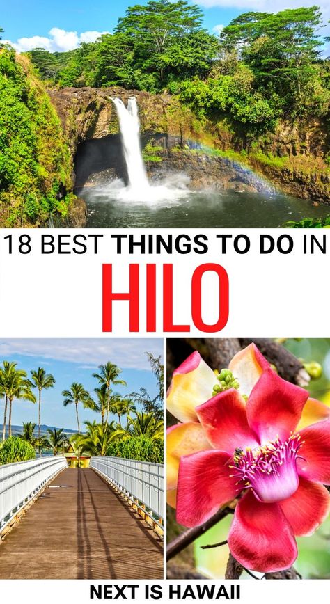 Visiting the Big Island for the first time? These are the best things to do in Hilo, the gateway to Volcanoes National Park! It includes Hilo day trips and more. | Hilo things to do | Hilo landmarks | Hilo attractions | What to do in Hilo | Day trips from Hilo | Hilo tours | Hilo hiking | Hilo waterfalls | Hilo trails | Places to visit in Hilo HI | Places to see in Hilo | Hilo itinerary | Big Island places to visit | Visit Hilo | Travel to Hilo | Hilo museums Big Island Hawaii Beaches, Hawaii Trip Planning, Hawaii Vacation Tips, Big Island Travel, Hawaii Itinerary, Hawaii Things To Do, Hawaii Travel Guide, Hawaii Volcanoes National Park, Hawaii Volcano