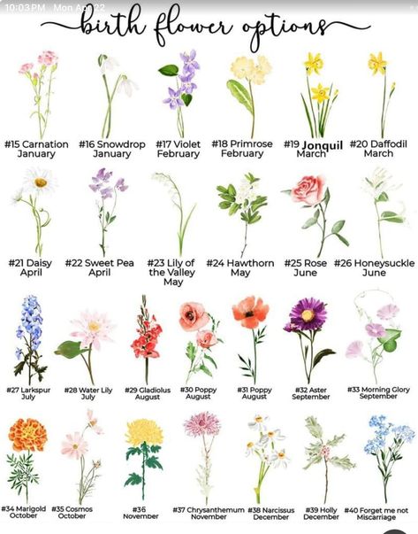 Moms Garden Birth Flowers, Flower Varieties, Cute Hand Tattoos, Valley Flowers, Cadeau Diy, Craft Stuff, Month Flowers, Birth Month Flowers, Birth Month