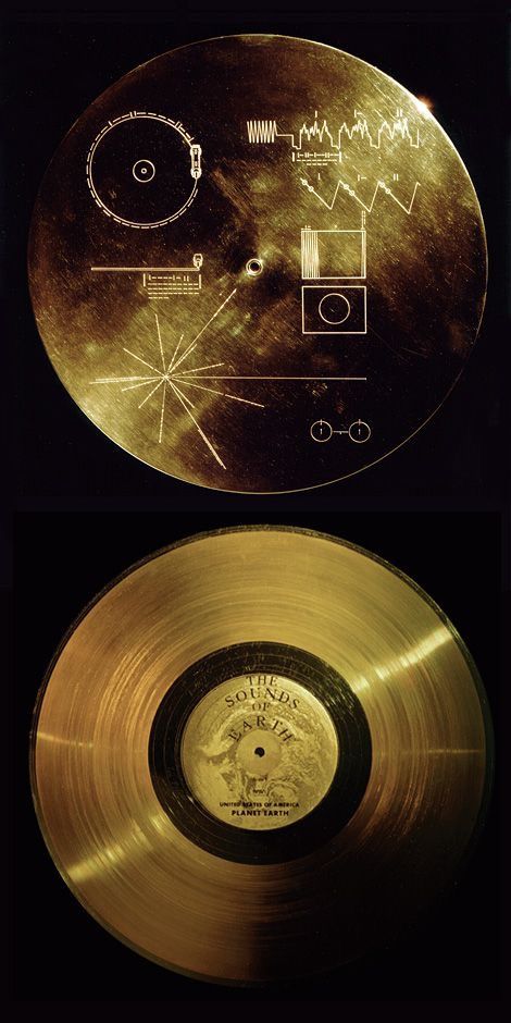 The Voyager Golden Record sent by NASA in 1977 on both space probes, Voyager 1 and 2. Ucontents and Carl Sagan's work Voyager Golden Record, Golden Record, Space Probe, Astronomy Science, Physics And Mathematics, Carl Sagan, Space Nasa, Space And Astronomy, Science Art