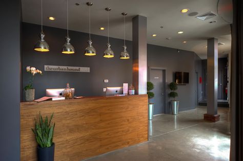 polished concrete floors, the lighting - some warmth from the wood... Daycare Reception Area, Clinic Lobby, Daycare Design Ideas, Grooming Design, Dog Daycare Design, Dog Daycare Business, Luxury Dog Kennels, Grooming Dogs, Dog Boarding Kennels