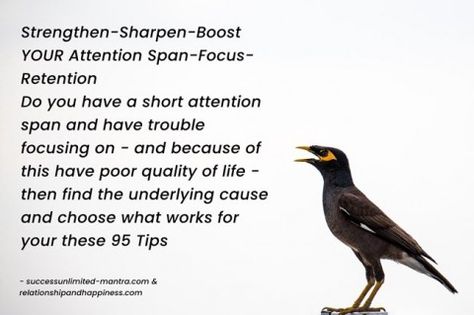 What causes short attention span and how to strengthen concentration John 15 5, Short Attention Span, Time Wasters, Luke 12, Attention Span, Fake Friends, The Orator, Spiritual Development, The Shepherd