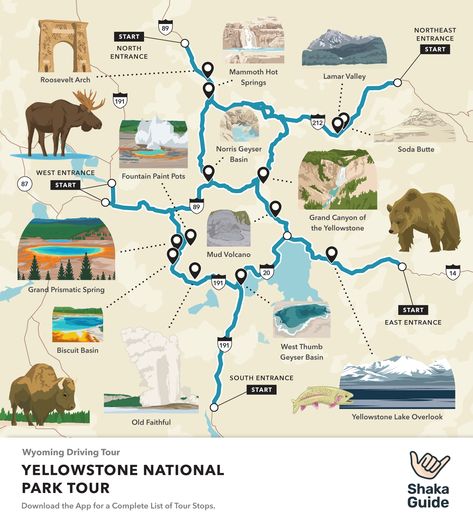 Yellow National Park, Yellowstone Map Illustration, National Park Yellowstone, Map Of Yellowstone National Park, Yellowstone National Park Map, Road Trip To Yellowstone National Park, Camping Yellowstone National Park, What To Do In Yellowstone National Park, Yellowstone Honeymoon