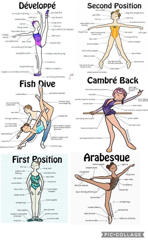 Ballet Terminology, Dance Terms, Ballet Tips, Tari Balet, Ballet Terms, Ballet Basics, Beginner Ballet, Ballet Training, Ballerina Workout