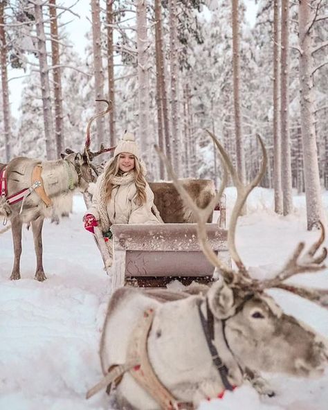 Lapland Photo Ideas, Lapland Finland Christmas, Lapland Aesthetic, Lapland Wedding, Finland Holiday, North Finland, Lapland Christmas, Finland Christmas, Eloped Wedding