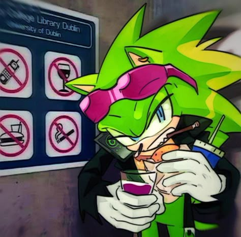 Icon / Scourge / Sonic Scrouge Sonic Fanart, Scourge The Hedgehog Pfp, Scourge The Hedgehog Fanart, Manic The Hedgehog, Scourge The Hedgehog, Sonic Prime, Shadow Sonic, Speed Of Sound, Sonic Exe