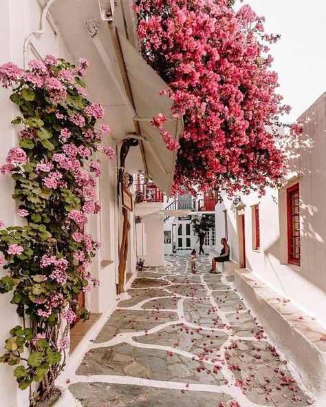 Wildlife Garden, Fotografi Kota, Beautiful Streets, Beautiful Places To Travel, Pretty Places, Travel Aesthetic, Mykonos, Dream Vacations, Travel Dreams