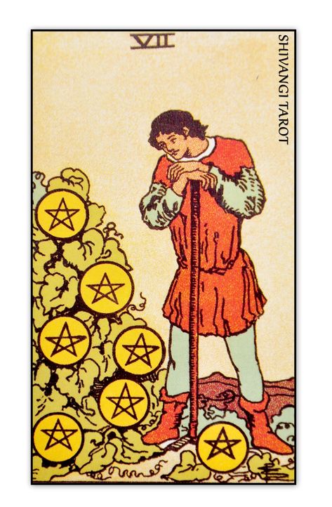 7 Of Pentacles Tarot, 7 Of Pentacles, Best Tarot Decks, Rider Waite Tarot Cards, King Of Wands, All Tarot Cards, Ace Of Pentacles, Pentacles Tarot, Rider Waite Tarot Decks