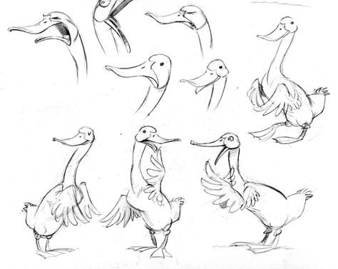 duck.modelA Goose Drawing, Duck Illustration, Duck Drawing, Animal Caricature, Duck Art, Cartoon Sketches, Character Design Animation, Animal Sketches, Drawing Images