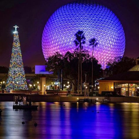 The Magical Lifestyle on Instagram: “What a beautiful Christmas season shot of Epcot’s SpaceShip Earth!! Awesome photo by @brian_martin_photo . . #epcot…” Florida Orlando, Epcot Center, Orlando Travel, Spaceship Earth, Disney Memories, Disney Side, Happiest Place On Earth, Hollywood Studios, Disney Christmas