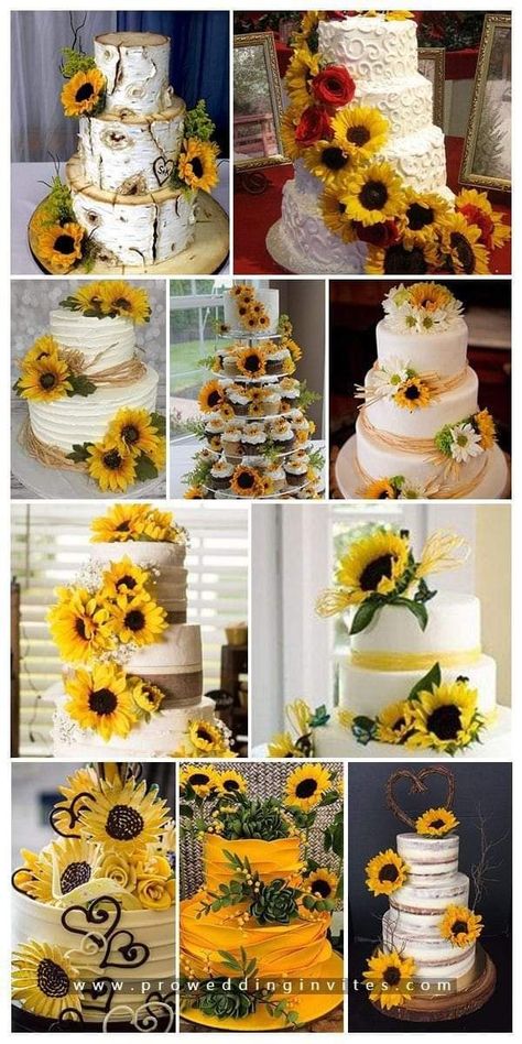 Fall Sunflower Weddings, Sunflower Weddings, Sunflower Wedding Cake, Sunflower Wedding Ideas, Sunflower Wedding Decorations, Rustic Sunflower Wedding, Sunflower Party, Sunflower Baby Showers, Sunflower Wedding Bouquet