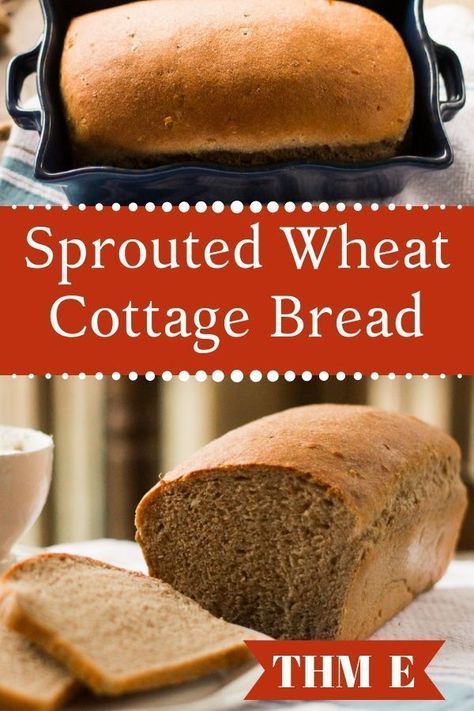 This healthy carb, low fat sprouted wheat cottage bread recipe is super simple and comes out perfectly! #THM #bread #sproutedbread #healthycarbs Cottage Bread Recipe, Cottage Bread, Thm Bread, Sprouted Wheat Bread, Trim Healthy Mama Diet, Sprouted Wheat, Trim Healthy Recipes, Sprouted Bread, Trim Healthy Mama Plan