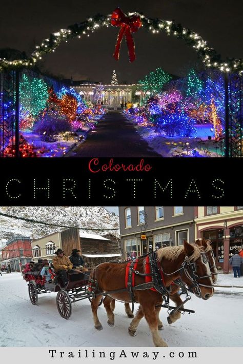 Top 5 Colorado Christmas Activities Denver Christmas, Christmas Vacation Destinations, Best Christmas Vacations, Colorado Christmas, Travel Colorado, Fun Christmas Activities, Christmas Destinations, Colorado Winter, Colorado Adventures