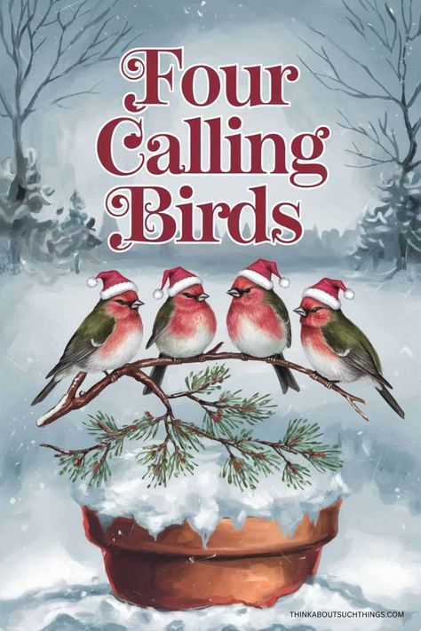 Four Calling Birds Christmas, 12 Days Of Christmas Meaning, Christmas Readings, Christmas Meaning, 4 Calling Birds, Four Calling Birds, Classic Christmas Songs, Seven Swans, Jesus Sacrifice