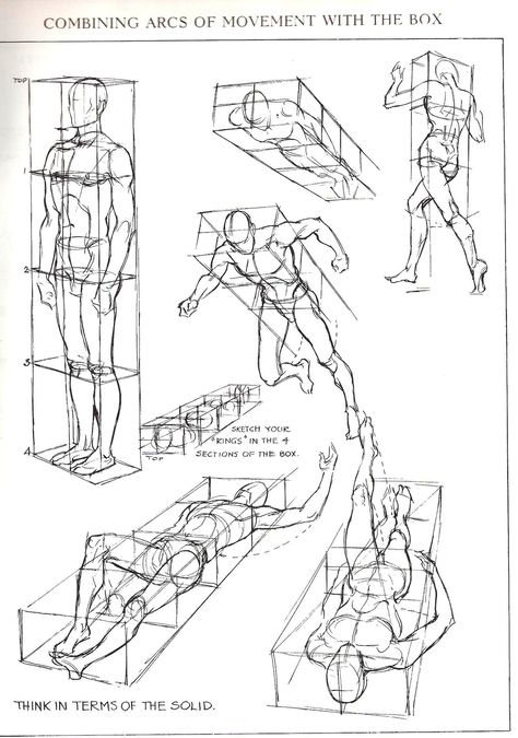 Figures in perspective from Figure Drawing For All It’s Worth by Andrew Loomis Comic Techniques, Reference Perspective, Perspective Study, Male Figure Drawing, Perspective Drawing Lessons, Human Figure Drawing, Anatomy Sketches, Perspective Art, 인물 드로잉