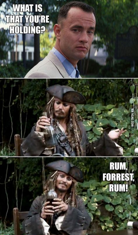 Rum Forest Rum... No wait... What? Forrest Gump Memes, Johnny Depp Meme, Forest Gump, Captain Jack Sparrow, Nerdy Things, Forrest Gump, Crazy Funny, Captain Jack, Funny Bunnies