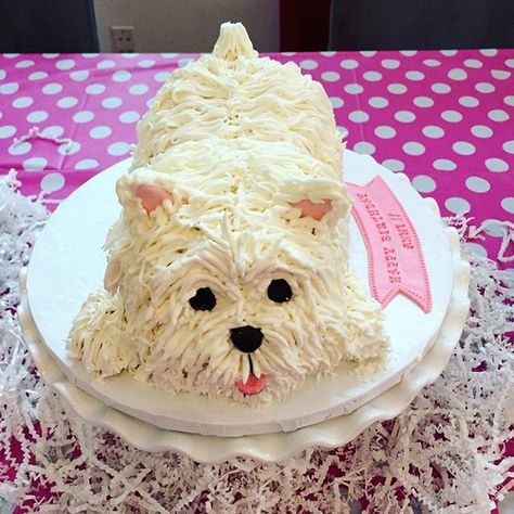 Cute little puppy with tons of buttercream makes a great smashing cake for a 2 year old! #smashingcake #puppycake #buttercreamfur… Cake Shaped Like Dog, Cakes Shaped Like Dogs, Dog Shaped Birthday Cake, Puppy Birthday Cake For Kids, Dog Cakes For Kids, Puppy Cakes For Kids, Dog Shaped Cake, Schnauzer Cake, Cupcake Critters