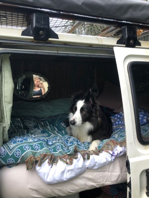 Traveling With Pets, Truck Living, Kayak Camping, Camping Aesthetic, Van Build, Bus Life, Dog Camping, Van Home, Van Living