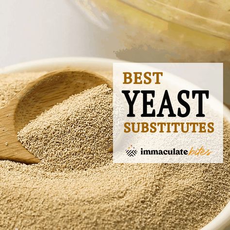 Substitute for Yeast Yeast Substitute, Pizza Dough Cinnamon Rolls, Cinnamon Roll Recipes, Bread Dinner, Bread Without Yeast, Yeast Free Breads, Yeast Packet, Bread Substitute, Homemade Spice Mix