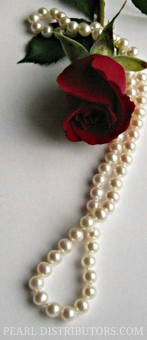 Pearls And Flowers, Rose And Pearl, Roses And Pearls, A Single Rose, Flowers And Pearls, Jewelry Pearls, Pearl Birthstone, Pearl Necklace Set, Single Rose