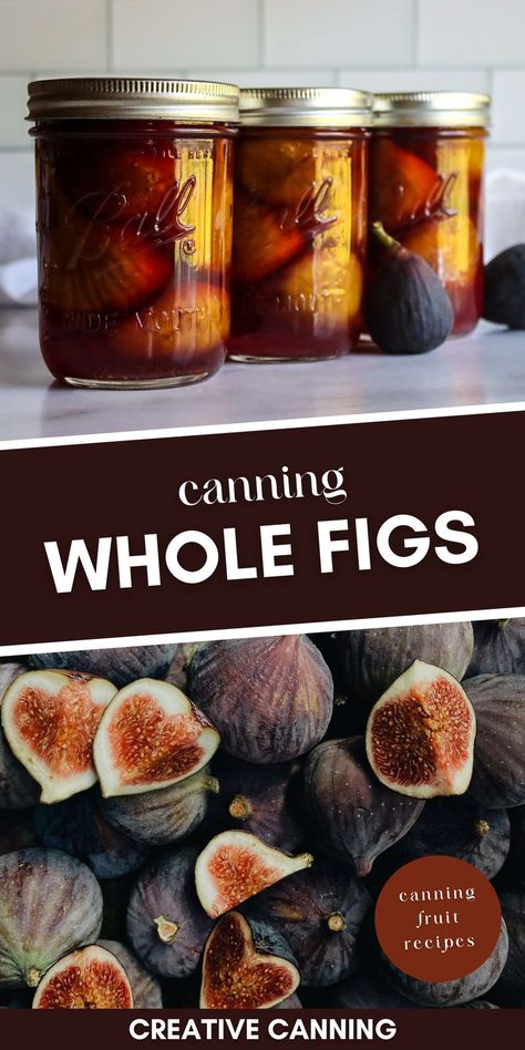 fresh figs and canned whole figs in jars Whole Fig Preserves Recipe, Canning Figs, Fruit Pie Filling Recipes, Fruit In Jars, Canning Fruit Recipes, Fig Preserves Recipe, Preserving Fruit, Paleo Fruit, Water Bath Canning Recipes