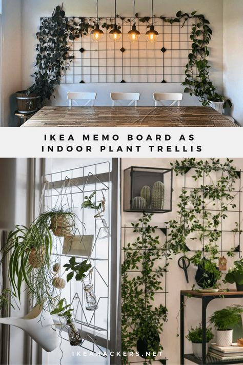 An IKEA item that's surprisingly good for indoor climbing plants. IKEA memo boards work so well as an indoor plant trellis. Record And Plant Wall, Ikea Memo Board Ideas, Ikea Wall Plant Ideas, Ikea Living Wall, Plant Wall Dining Room Ideas, Indoor Trellis Wall Decor, Workspace With Plants, Diy Wall Trellis Indoor, Ivy Plant Room Decor