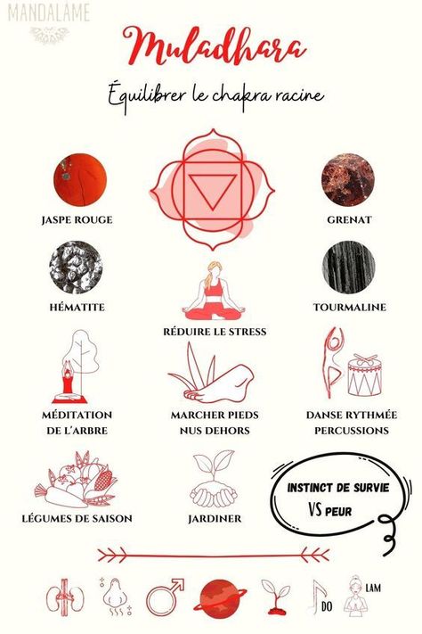 Le chakra racine : Toujours se sentir ancré à la terre avec des pierres de chakra racine comme le grenat rouge, le quartz fumé, l'onyx noir et l'hématite. Pour équilibrer le chakra racine, il faut une pierre rouge comme le jaspe rouge et le combiné à d’autres minéraux. Le jaspe rouge soulage l’indigestion, les flatulences et la constipation. Il possède des pouvoirs curatifs, régénère les tissus et renforce le système immunitaire. Muladhara Chakra, Chakra Raiz, Manipura Chakra, Sahaja Yoga, Root Chakra Healing, Daily Yoga Workout, Chakra Racine, Holistic Therapies, Chakra Yoga