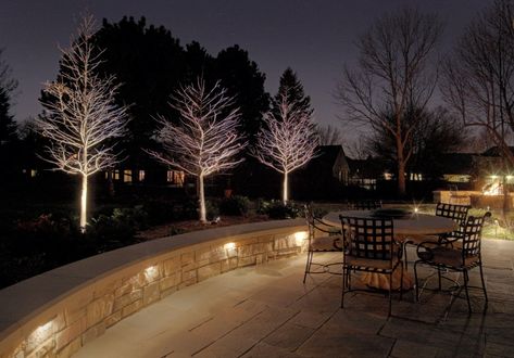 I love this patio lighting. The lights under the seat wall cap are a low-voltage copper step light, which can also be used on deck & patio steps. The lights on the bald cypress trees are low-voltage well lights. Path Lighting Ideas, Patio Walls, Hardscape Lighting, Seat Wall, Traditional Patio, Bench Area, Backyard Renovation, Outdoor Lighting Design, Knee Wall