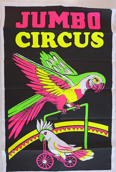 . Indian Circus, Retro Circus, Graduation Ball, Circus Posters, Circus Aesthetic, Indian Illustration, Black Light Posters, Beer Art, Circus Poster